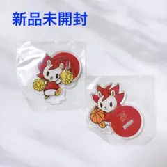 【新品未開封】川崎ブレイブサンダース ガチャ ロウル アクスタ