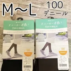 アツギ　100デニール　濃密マットプレーン　タイツ　M〜Lサイズ　2点セット