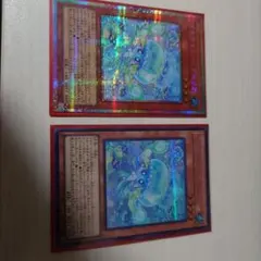 マルチャミー・プルリア プリシク＋シク2枚セット(LOCH)