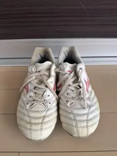 Item thumbnail for item 1c93de5d-2453-4a24-a297-d6504c7cde4e