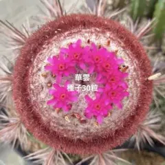 3r様 リクエスト 3点 まとめ商品