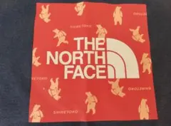 THE NORTH FACE 130cm SHIRETOKO キッズ Tシャツ