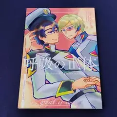 ガンダムSEED FREEDOM☆同人誌『呼吸の正体』