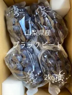 E山梨県産　ブラックビート　秀品2kg箱 E山梨県産 ブラックビート 秀品2kg箱 - メルカリ