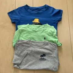 バードウォッチングTシャツ3点セット