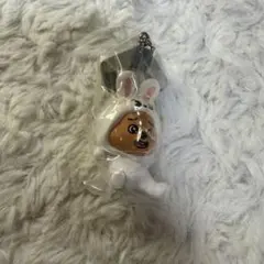 StrayKids つまんでつなげてますこっと