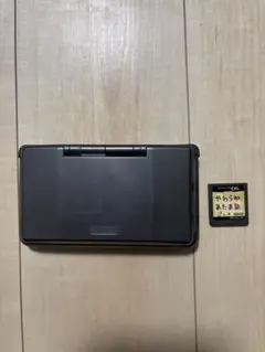 Nintendo DS ブラック 本体 ゲームカード付き