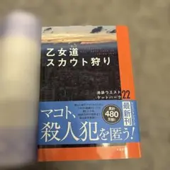 乙女道スカウト狩り 池袋ウエストゲートパーク22