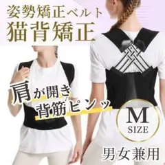 猫背矯正 姿勢サポーター 背筋ベルト 男女兼用 肩甲骨サポート 着脱簡単 肩こり