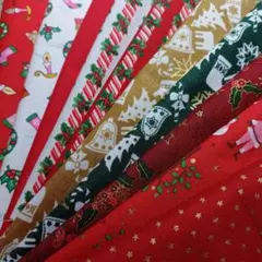 25✕17cmサイズクリスマス柄ハギレ10枚セット（18）