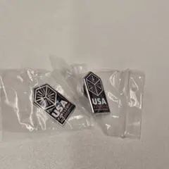 【非売品】万博2025アメリカ館ピンバッジ アメリカパビリオン2個セット