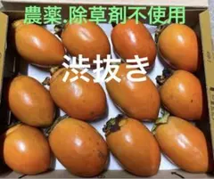 筆柿農薬不使用幸田町産直送筆柿コンパクト満杯詰、大きいサイズ　渋抜きD10