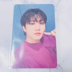 Straykids スキズ DoiT アコーディオン 封入 チャンビン