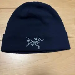 新品‼️ARC'TERYX ロートーク S-M ビーニー skulcap y2k - メルカリ