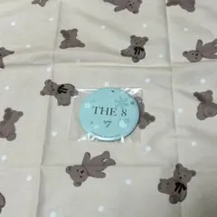 SEVENTEEN 一番くじ　マグネット　THE8