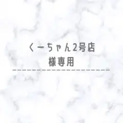 ✴︎くーちゃん2号店様専用✴︎