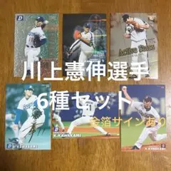 2025年最新】川上憲伸 サインの人気アイテム - メルカリ