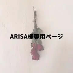 副業初期費用支払い  ARISA様専用ページ
