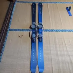 2025年最新】スキー ブルーモリスの人気アイテム - メルカリ