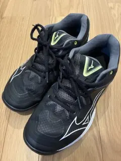 MIZUNO ウエーブクロー3 WIDE バドミントン　27.5 4Eのサムネイル