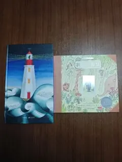 中国語絵本2冊セット 児童書絵本 你好灯塔 我…有梦 凯迪克金奖绘本国际大奖绘本