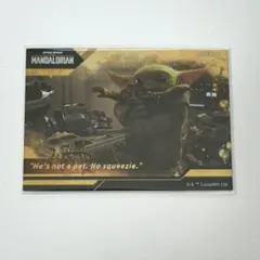 cardfun トレカ グローグー