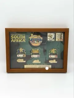 2010 南アフリカワールドカップ ピンバッチセット 限定 World Cup