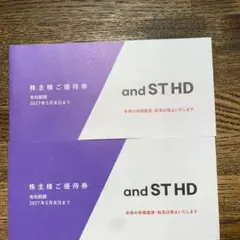 アンドエスティ 株主優待券 3000円分のサムネイル