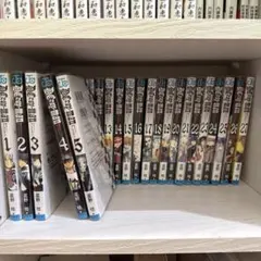D.Gray-man ディーグレイマン 全巻 全巻セット 1〜28巻 - メルカリ