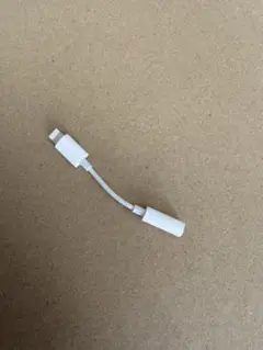 Lightning 変換　3.5mm イヤジャック短い
