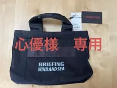 2025年最新】Briefing wind and sea キャディバッグの人気