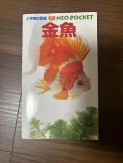 Item thumbnail for item 67c83c33-c50e-453b-a09d-37e92c462f27