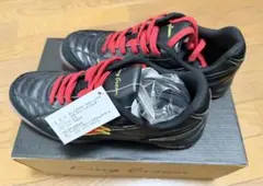 値下げしました！フットサルシューズ　キングクラウン　アストーリアス　25.0cm