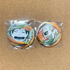 ハイキュー　山口忠　田中龍之介　コレクション缶バッジ　FUN ファンパーク