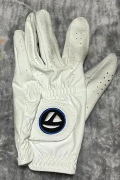 Item thumbnail for item c560852b-cfd1-49c0-85ec-eeee428ed482