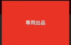 専用出品