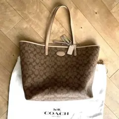 Item thumbnail for item 0146eee4-521d-466b-af30-b1877fcff126