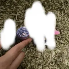 ばうむ様専用ページ