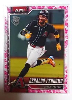 S*9様 【2個セット】　WBC タティスjr ドミニカ共和国　缶バッジ　アクリ メルカリ