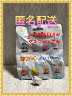 ジニレット アイドル