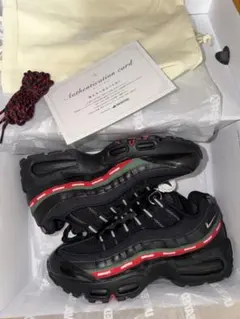 UNDEFEATED×Nike AirMax 95SP Black 25cm