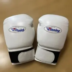 ボクシンググローブ 10oz