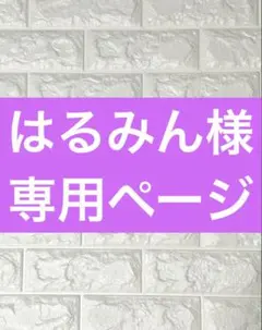 ☆はるみん様専用ページ☆