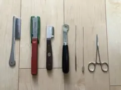 Item thumbnail for item 75087de5-2baf-4b11-ae7e-250888e4d51f