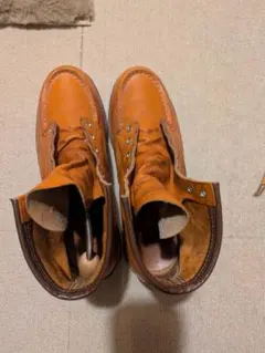 Irish Setter レッドウィング