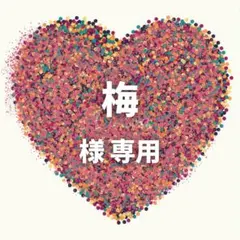 梅 様　専用ページ