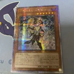 遊戯王　幻惑の見習い魔術師　アジア版　シークレット ☆アジア☆幻惑の見習い魔術師/25thシークレット【モンスター