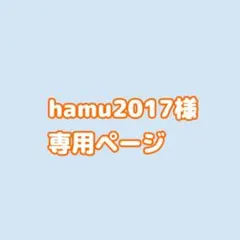 【hamu様専用】はちわれパスケース ミニシリコンポーチ(シーサー)2点セット