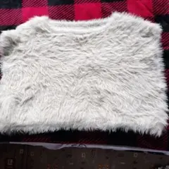 レディーストップス