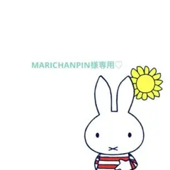 (*ᴗ͈ˬᴗ͈)ꕤ*.゜MARICHANPIN様専用♡